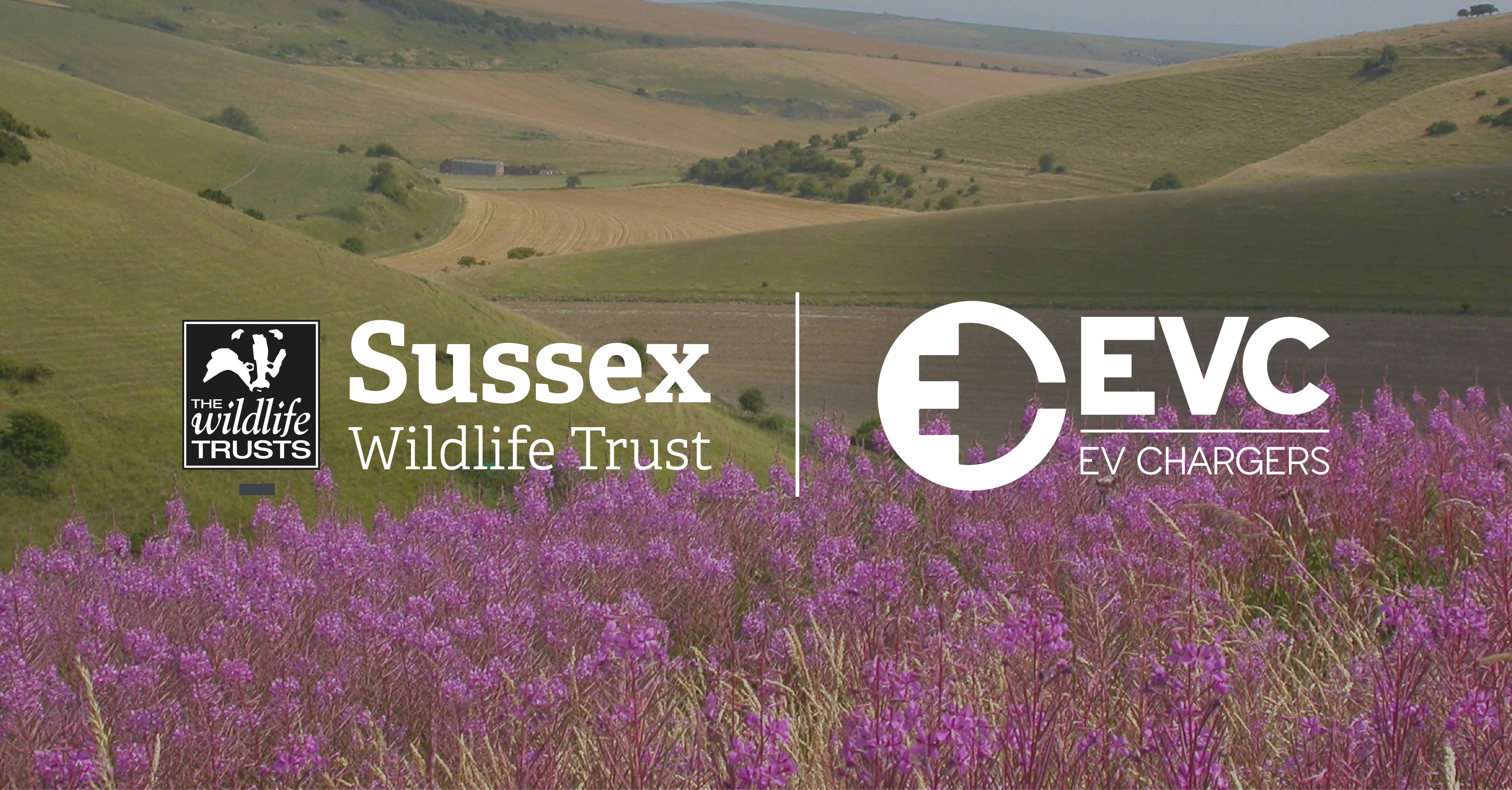 EVC partner with Sussex Wildlife Trust to support local sustainability initiatives